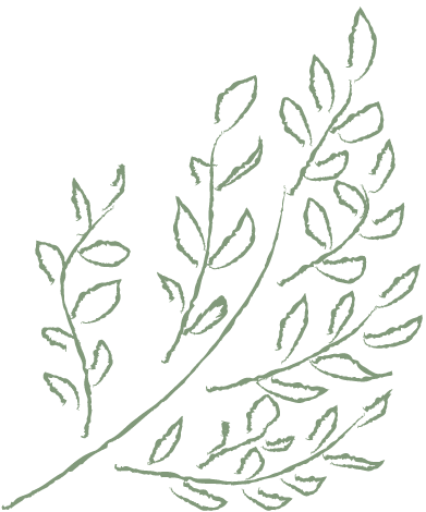 植物の手書きのイラスト